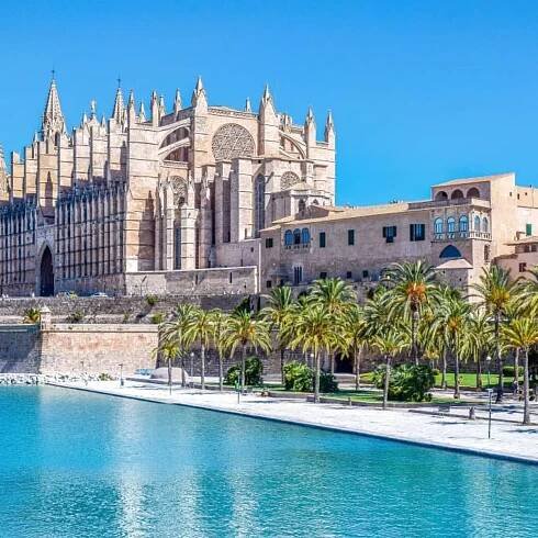 Palma_1-card-695x695