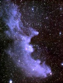 Reflexní mlhovina Hlava čarodějnice (IC2118), vzdálená od Země asi 1000 světelných let, je způsobena jasnou hvězdou Rigel v souhvězdí Orion. Mlhovina září, protože odráží světlo od Rigelu. Prach v mlhovině odráží světlo.
