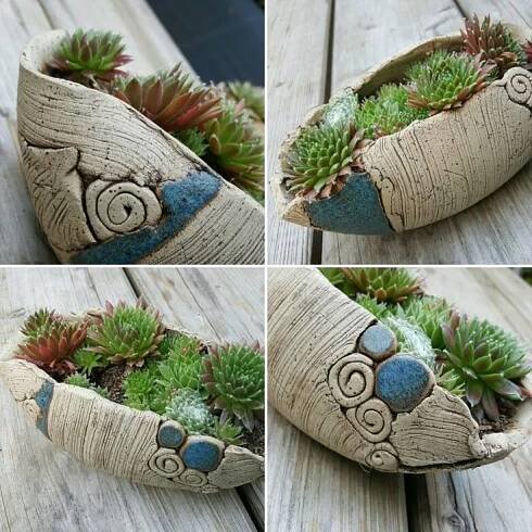 four different pictures of succulents in an old shoe