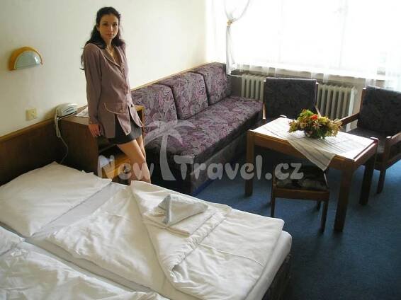 Dovolená a zájezdy Tatranská Lomnica Vysoké Tatry Slovensko | New Travel.cz