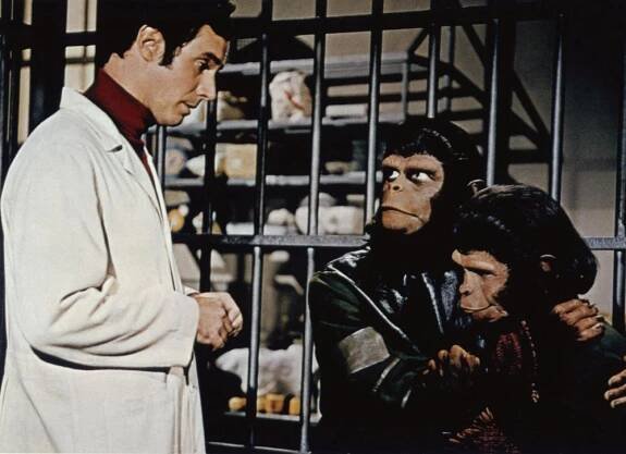 Roddy McDowall - Actor, Photographer, Director