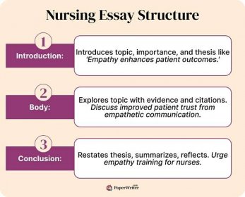 nursing essay structure