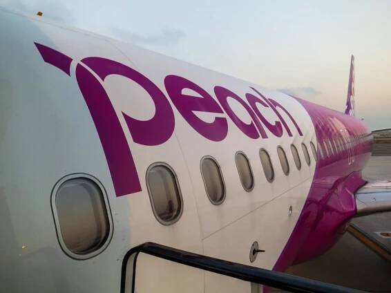 A close-up captures a peach and white airplane with peach elegantly scripted in purple on its side, parked confidently at the airport.