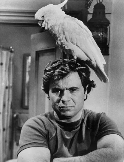 Robert Blake, ‘Baretta’ Star Acquitted in Wife’s Murder, Dies at 89