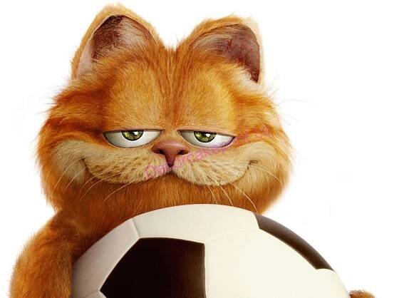 Garfield - L3
