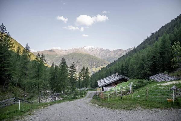 Piacevoli escursioni nell'Auerbergtal a San Nicolo in Val d'Ultimo.