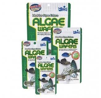 hikari tropical algae wafers 40 g 1044