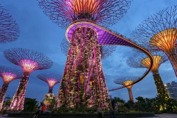 Light Garden Singapore