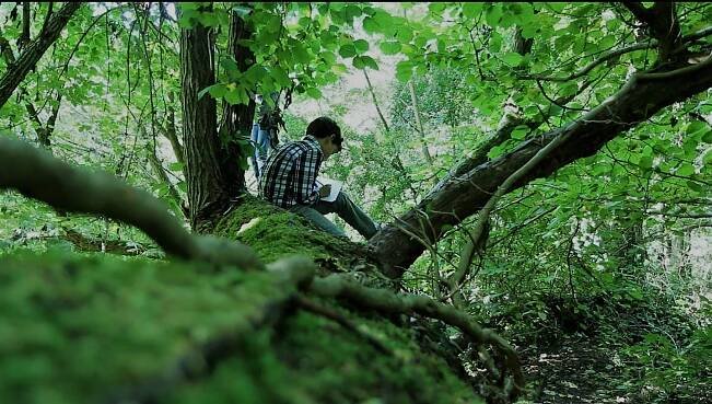 Titulní fotka uživatele Foundation for Environmental Education
