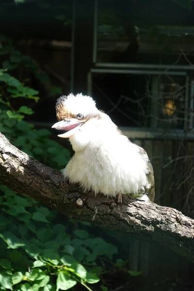 Zoo Ohrada Hluboká nad Vltavou - PhoneCopy