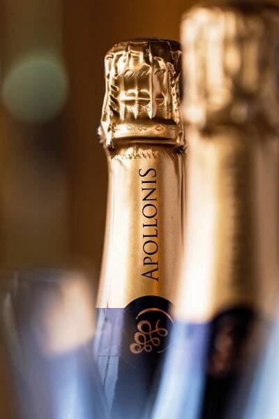 Champagne Lounge - APOLLONIS - Champagne - Michel Loriot - Festigny - Vallée de la Marne
