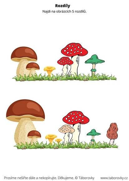 Discover the Fascinating World of Mushrooms