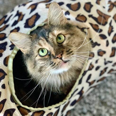 A year in (rescue) retrospect