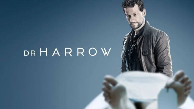 Harrow (2018) seriál • Filmožrouti.cz