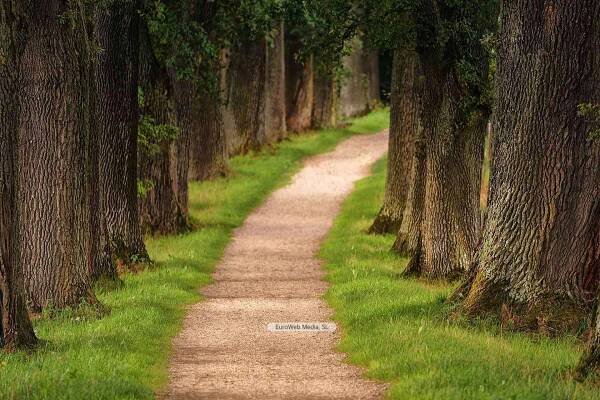 John 14:6 Path