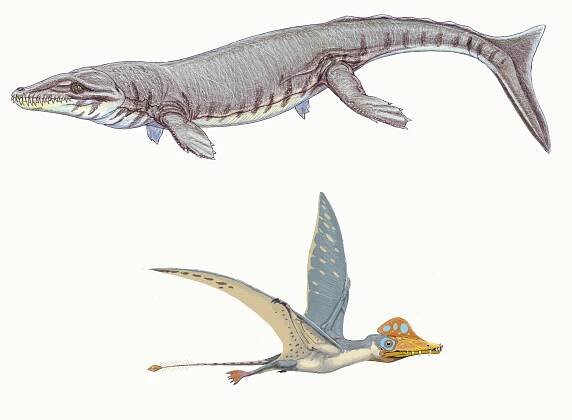 cretaceous | All you need is Biology