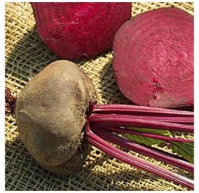 Řepa salátová tmavě červená - Beta vulgaris L.- pěstování