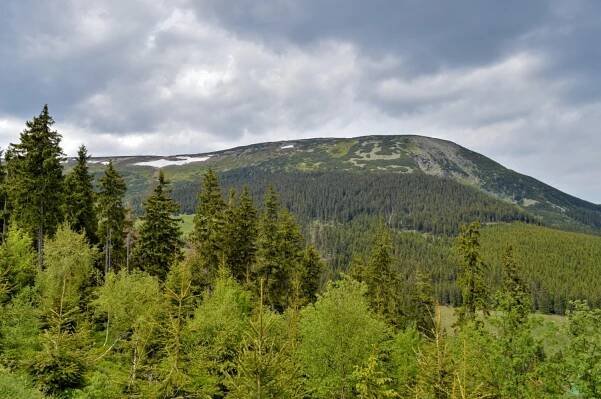 Krkonoše, Studniční hora