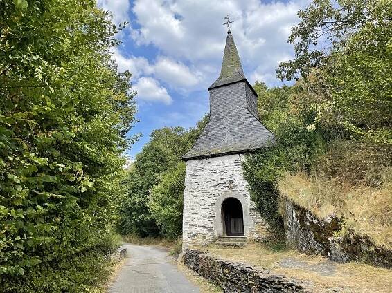 Niet wild van het wildpark van La Roche-en-Ardenne - Weer Op Weg