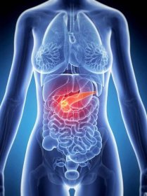 rakovina slinivky břišní - karcinom pankreatu - stock snímky, obrázky a fotky