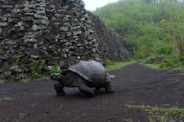 Galapágy