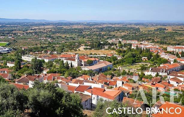 Castelo Branco • LisbonProperty.com