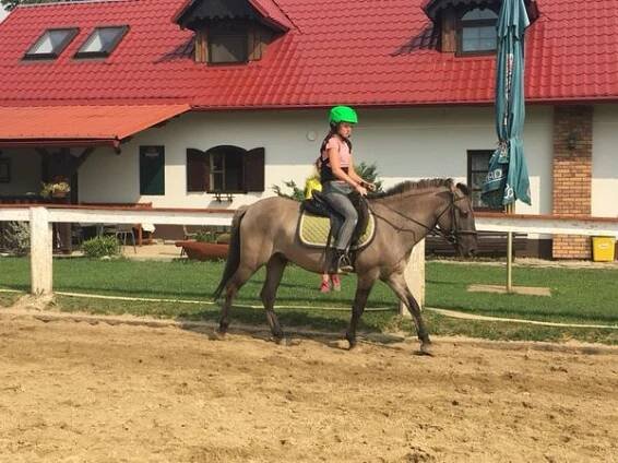 Stáj Moncheri foto 2