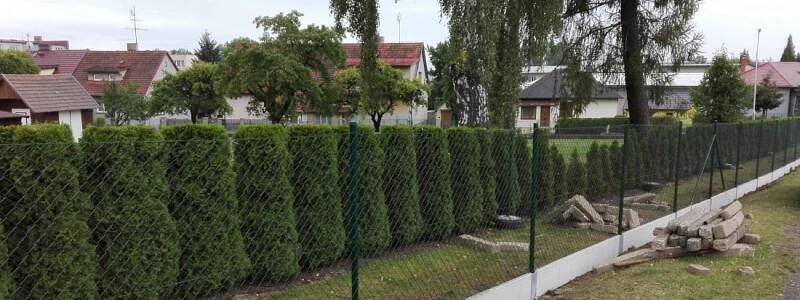 Ploty a oplocení, stavba plotů Jindřichův Hradec - Ploty Jan Hándl