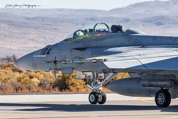 Boeing F/A-18F Super Hornet - US Navy - NAWDC