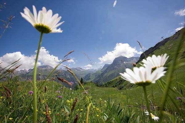 Sommerurlaubsangebote