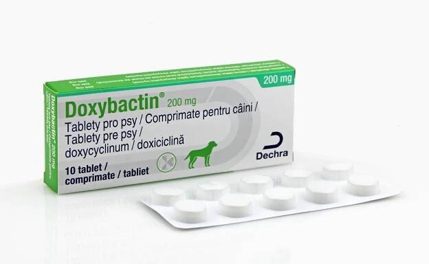DOXYBACTIN 200 mg tablety pro psy – Sevaron