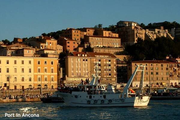 Fishing boat in Ancona port