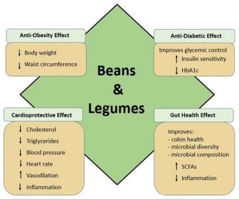 Health Benefits of Plant-Based Nutrition: Focus on Beans in Cardiometabolic Diseases