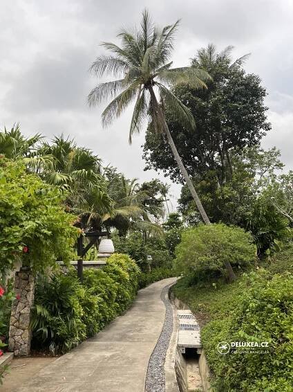 Thajsko - Koh Lanta - DELUXEA