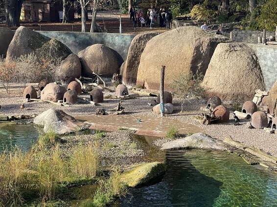 Fotogalerie • Zoologická zahrada ve Vratislavi (Zoologická zahrada) • Mapy.com