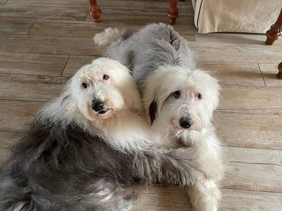 Annie & Emma
