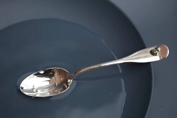 sterling dinner spoon with bronze barnacles