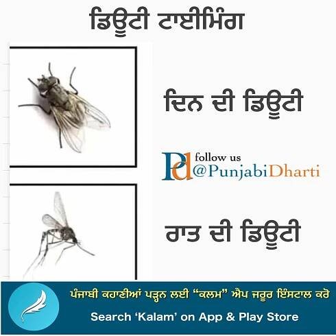 2724+ Punjabi Funny Graphics,Images For Facebook, Whatsapp, Twitter 