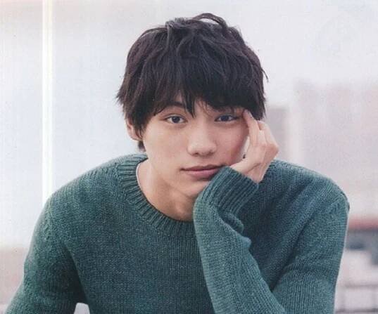 Sota Fukushi - Bio, Facts, Family Life of Japanese Actor