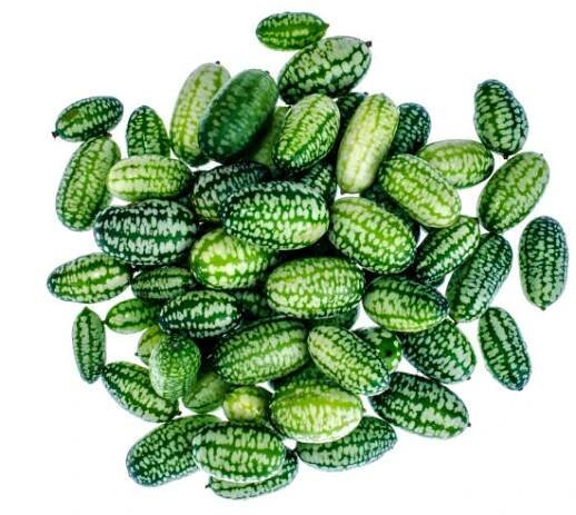 plody melothria, vegetariánská kuchyně - melothria scabra - stock snímky, obrázky a fotky