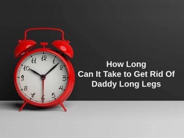 Jak dlouho může trvat, než se zbavíte táty dlouhých nohou