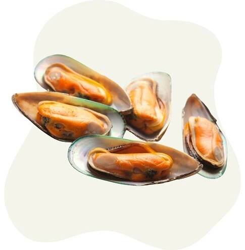 green-lipped mussel