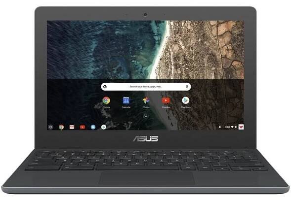 Ntb Asus Chromebook C204 Celeron N4020, 11.6", 1366 x 768 (HD), RAM 4GB, HDD 64GB - Intel UHD 600, Chrome OS - šedý
