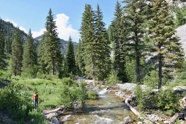 Wyoming