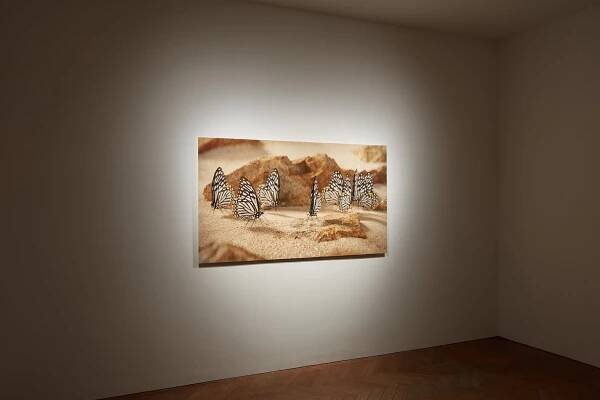 Jeffrey Stuker | 24 February - 6 April 2023 | Ben Hunter