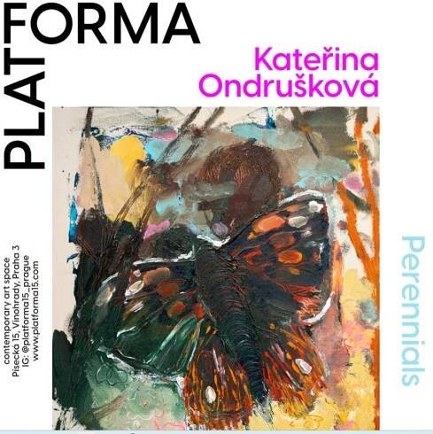 Kateřina Ondrušková – Perennials Artefin.cz