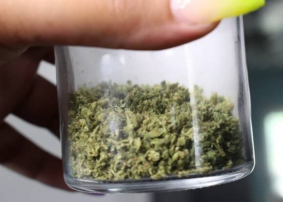 Metabolity THC v krvi nemusí znamenat intoxikaci – Magazín Konopí