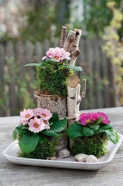 Primeln pflanzen: 7 schöne Ideen für den Frühling | Primroses, Spring decor, Decor