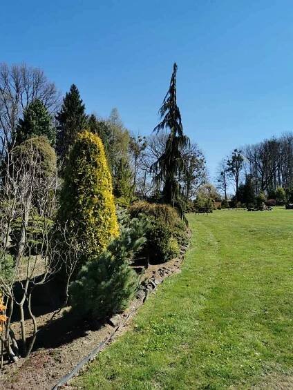 Miniarboretum U Holubů ve Staříči.