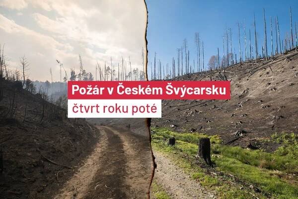 Čtvrt roku od požáru. Zčernalá zem se začíná zelenat, vrací se i neukáznění turisté